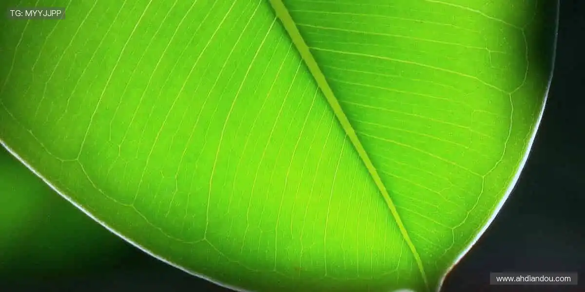 🎯匠心打造，运动装备与时尚完美碰撞！👟